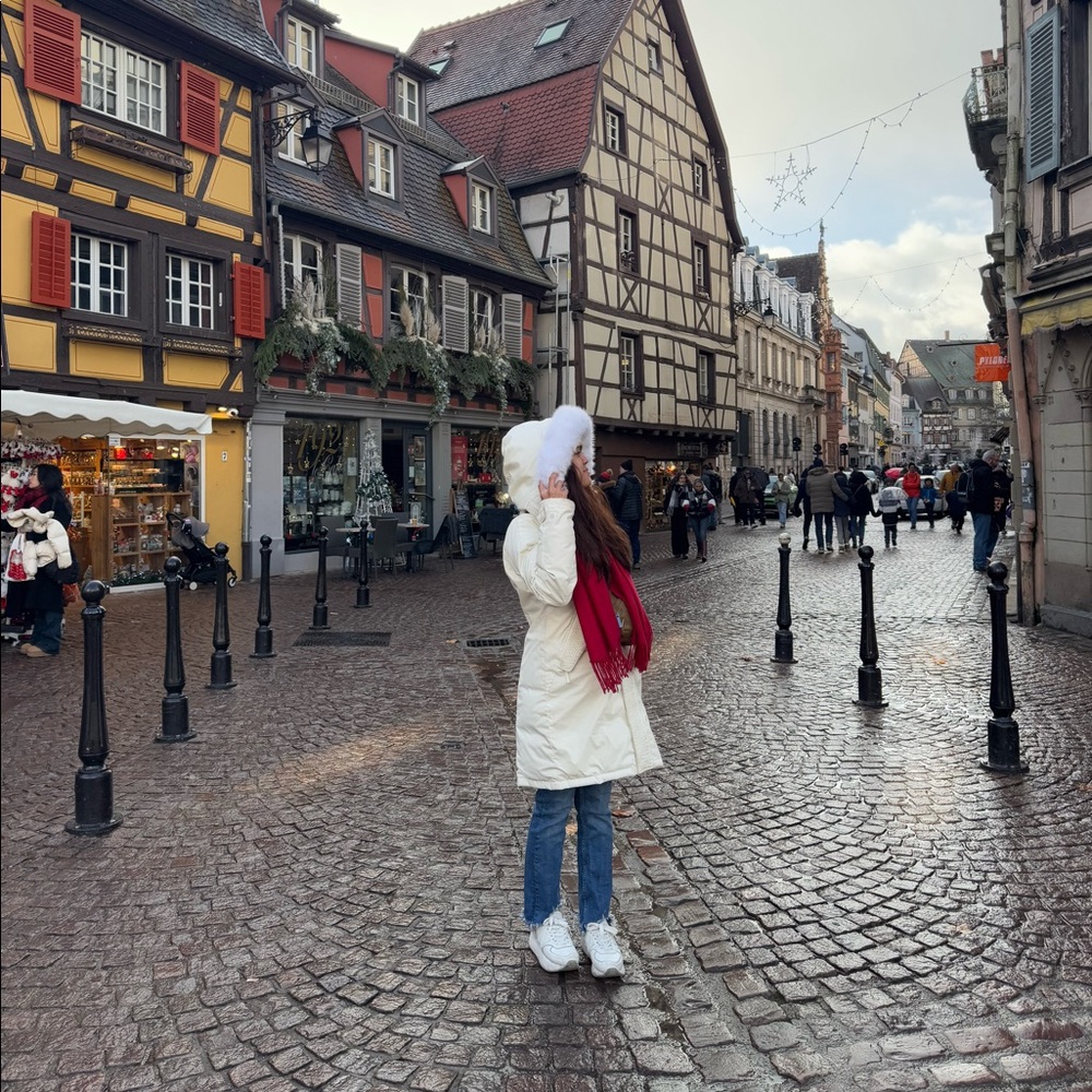 Aritzia TNA Winter Coat - Summit Parka - Picture 9 of 9